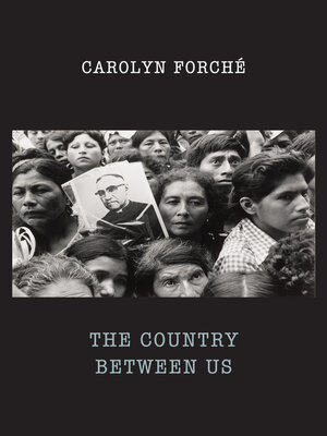 cover image of The Country Between Us